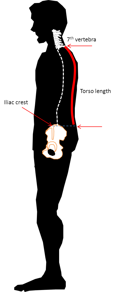 Backpack Torso Length How to find backpack with the right fit