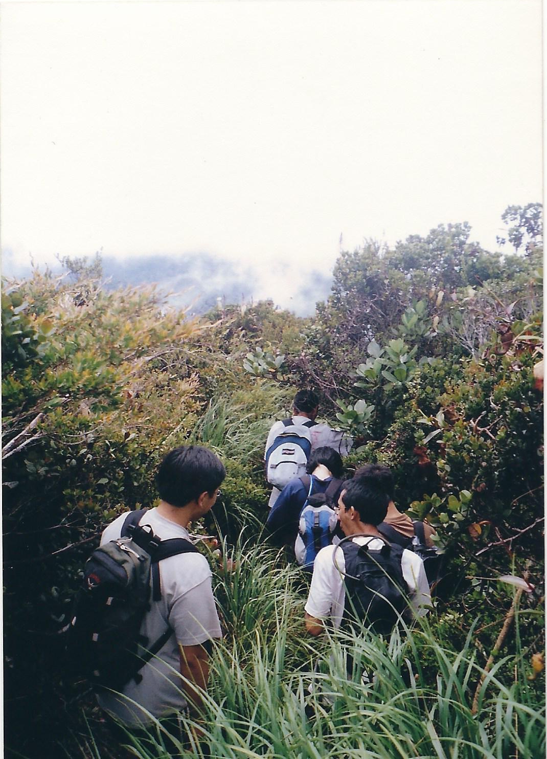 Gunung Yong Yap